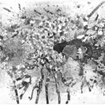 Topography of a Village